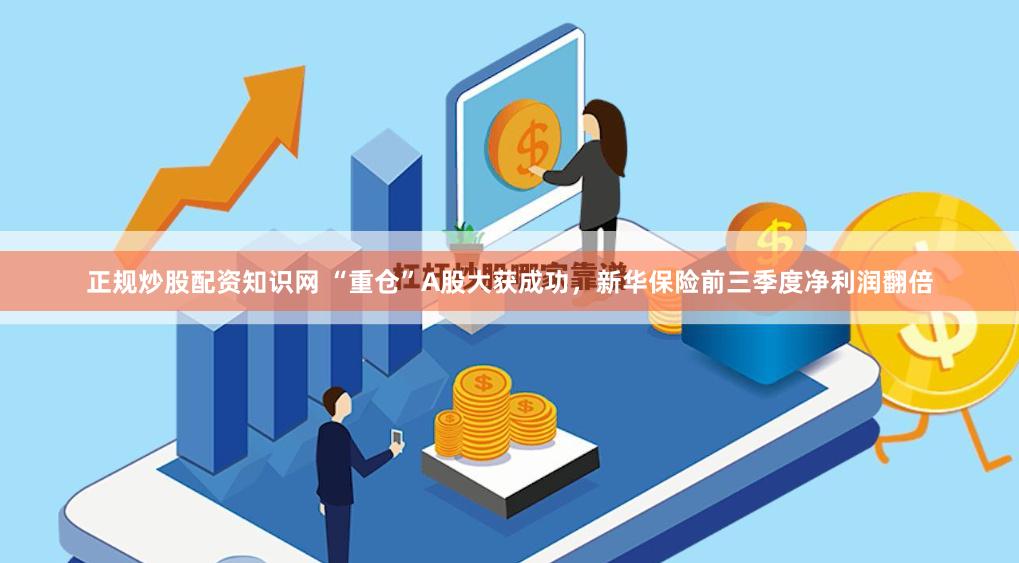 正规炒股配资知识网 “重仓”A股大获成功，新华保险前三季度净利润翻倍